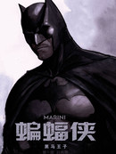 蝙蝠侠：黑马王子