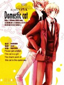 Domestic cat