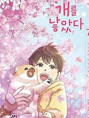 狗狗日志